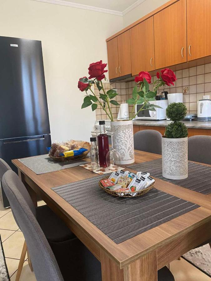 Bakopoulos Resort.Ενα Όμορφο Διαμέρισμα Με Τζάκι 트리칼라 외부 사진